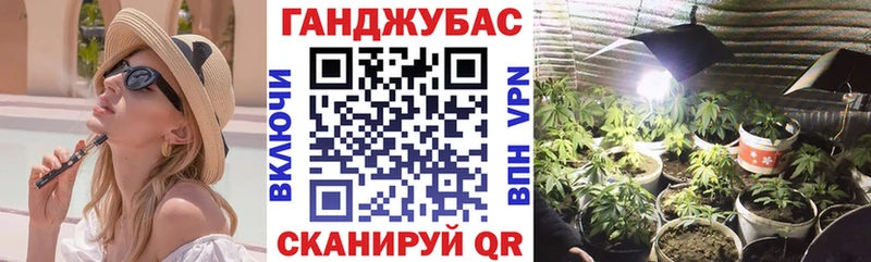 Купить  Петушки  Бошки Шишки семена 